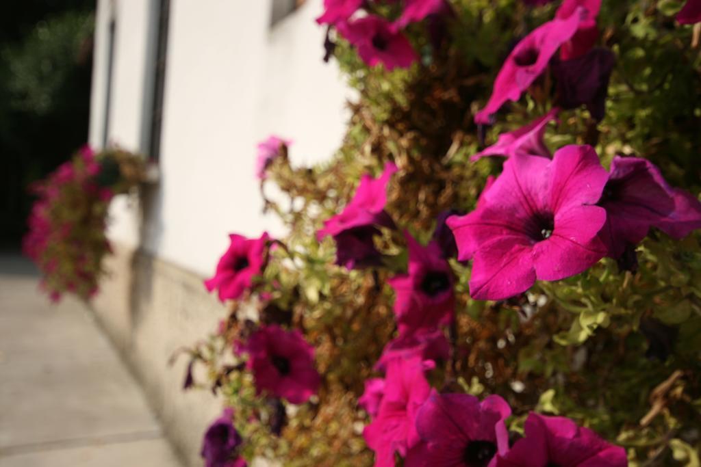 Corte Posta B&B - Parcheggio E Bagno In Camera マントヴァ エクステリア 写真
